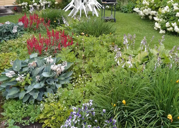 Guest house Aliise Garden Guesthause *